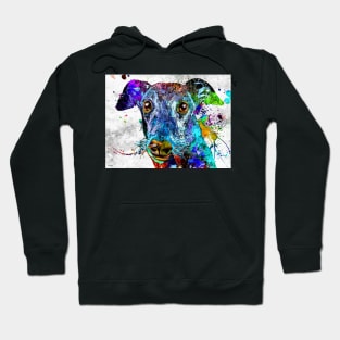 Greyhound Grunge Hoodie